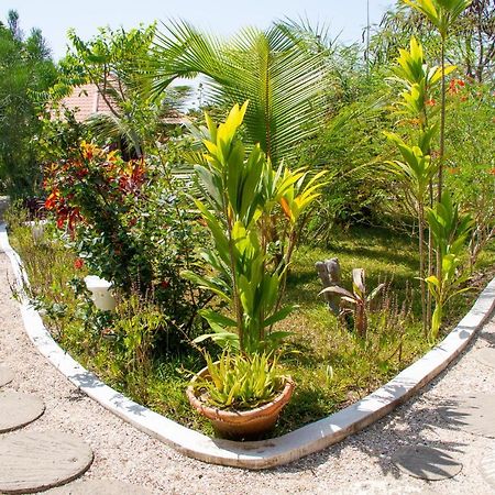 Mama Africa Art Residence & Art Center Gambia Tanji Exterior photo